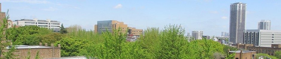 東京大学中国語中国文学研究室