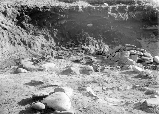 7号竪穴　炉址・開口部側の石積みと、石積み内から出土したクマの四肢骨