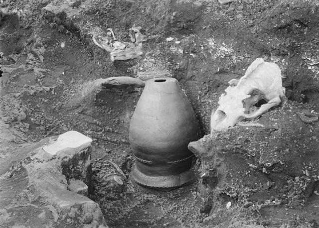 オホーツク墓　20号の上部で検出された土器・クマ頭骨等