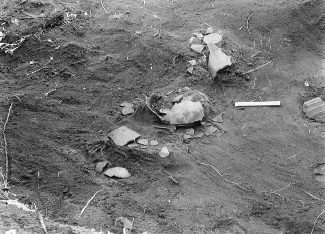 第三次発掘第3号墓　上部の土器