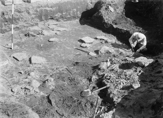 10号竪穴　奥壁の骨塚周辺の調査