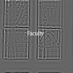 Faculty