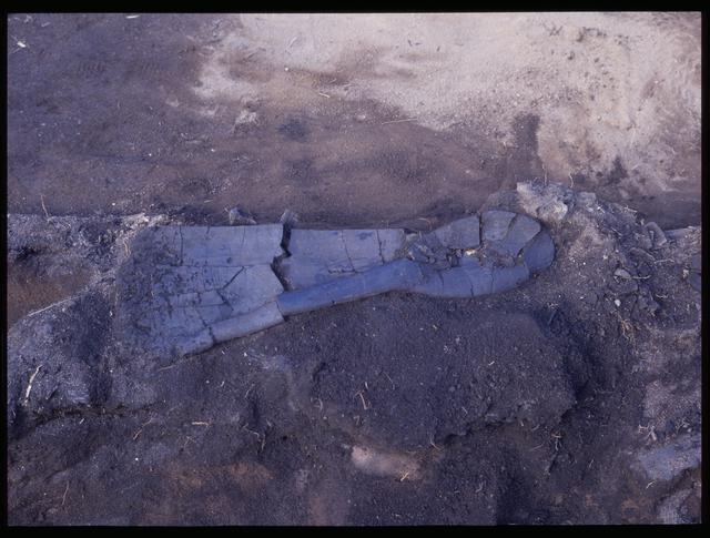 Pit House 7b, excavated wooden artifacts