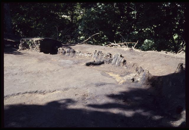 Pit House 8, carbonized wood row near a wall
