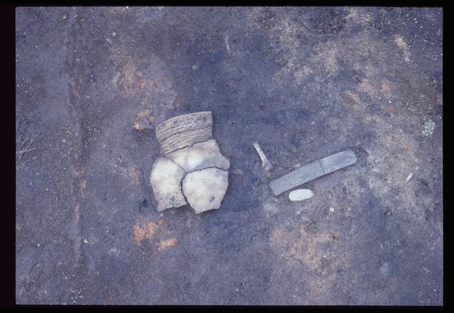 Pit House 9c, excavated artifacts