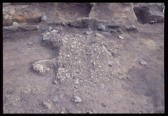 Pit House 9c, Bone Mound c (overall view)