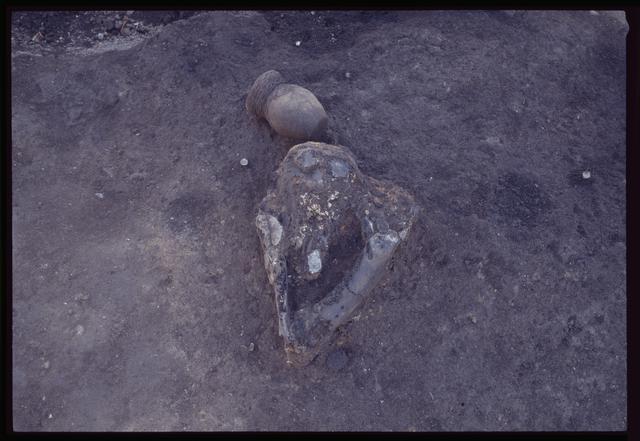 Pit House 9c, lowest layer of Bone Mound c
