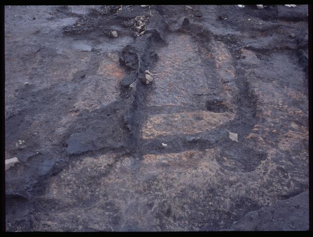 Pit House 10, carbonized wood row near a wall (10c)