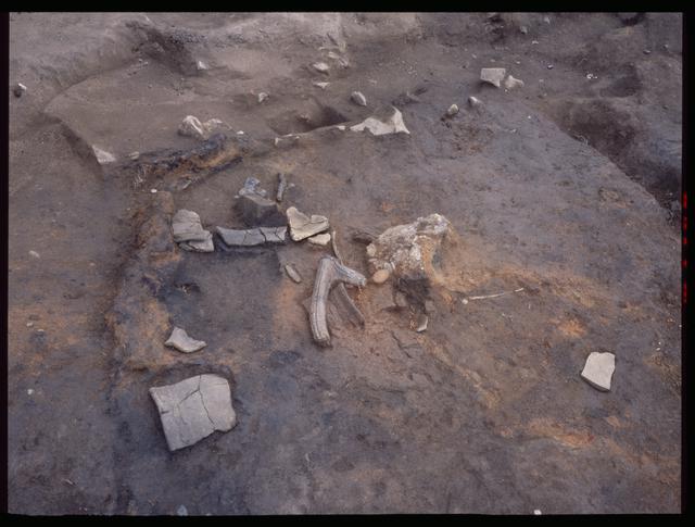 Pit House 10b, excavated artifacts