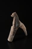 Antler with bear head carving