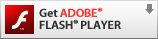 Download Adobe Flash Player