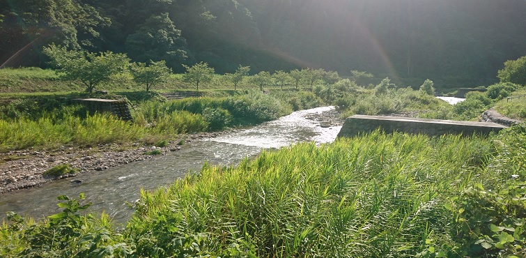 いずこに：笹川の風景