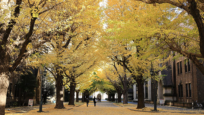 文学部概况