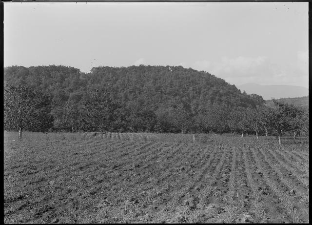 Jichin’yama Stone Circle, distant view（from the east）