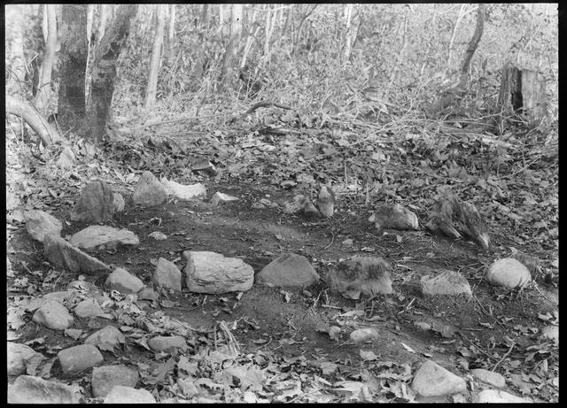 Kamui Kotan Stone Circle (Kamui Kotan 5 Site), Group Ⅱ? (from the south?)