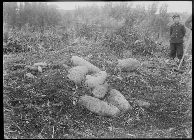 Keisatsu Urayama Site, stones of stone circle? (direction of photograph unknown)