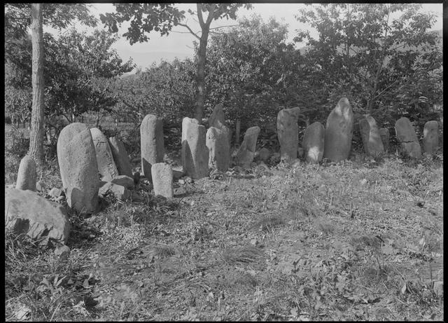 Mikasayama (Osyoro) Stone Circle, southwest part of the stone alignment (from the east)