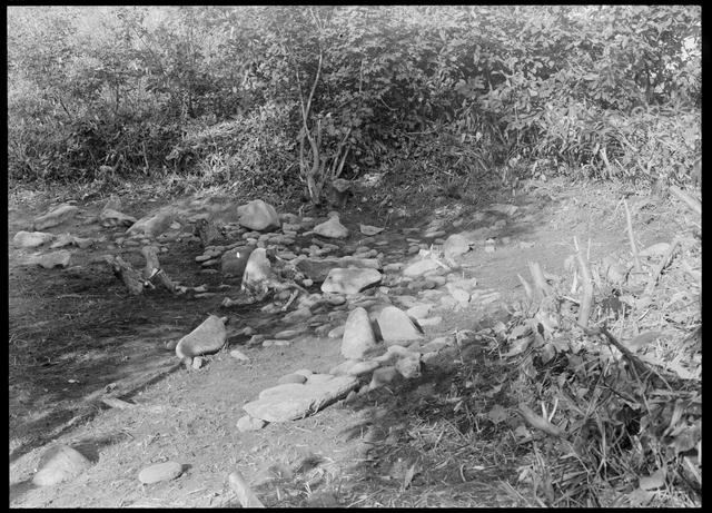 西崎山南環状列石（3区）　遺跡の東部分（南から撮影）