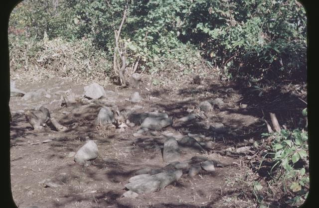 西崎山南環状列石（3区）　遺跡の東部分（南から撮影）