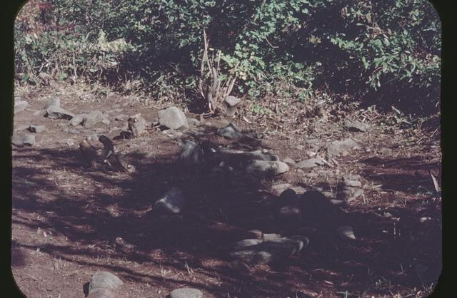 西崎山南環状列石（3区）　遺跡の東部分（南から撮影）