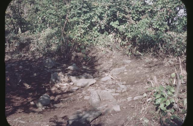 Nishizakiyama Minami Stone Circle (Area 3), east part of the site (from the south)