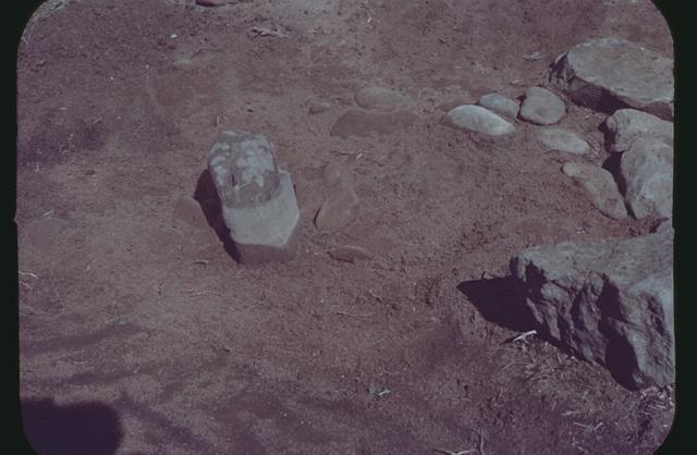 西崎山西環状列石（2区）　第1号（南西から撮影）