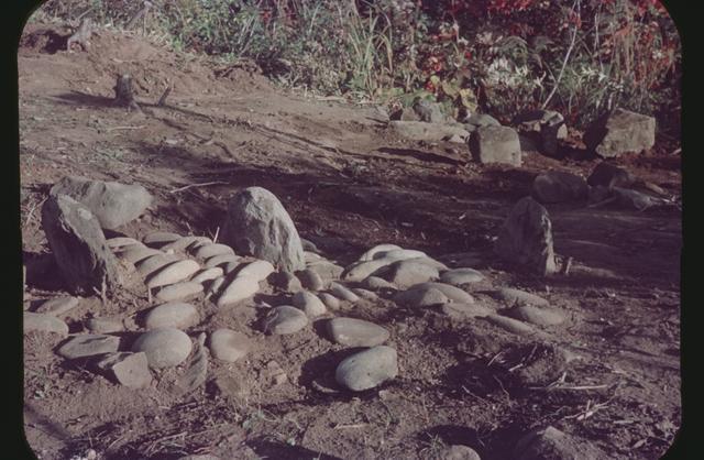 Nishizakiyama Nishi Stone Circle (Area 2), stone circle No.2 (from the northwest)