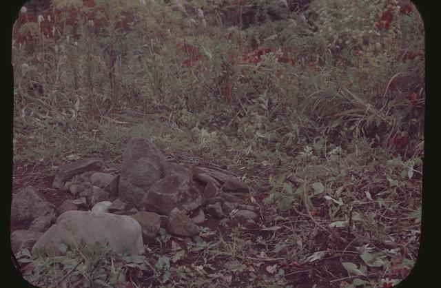 西崎山西環状列石（2区）　第3号（北西から撮影）