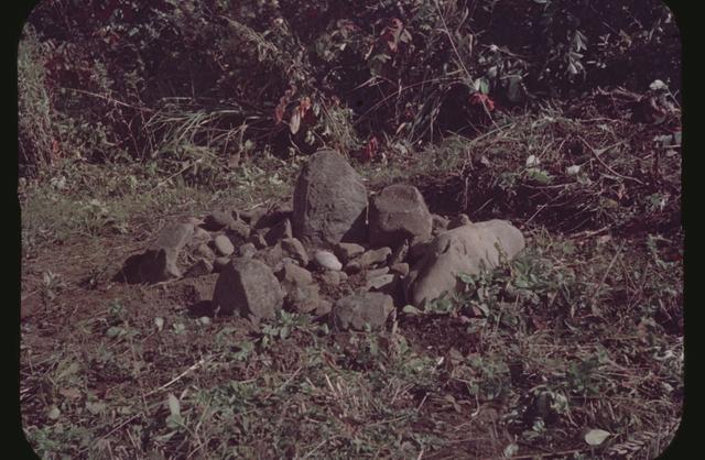 Nishizakiyama Nishi Stone Circle (Area 2), stone circle No.3 (from the northeast)