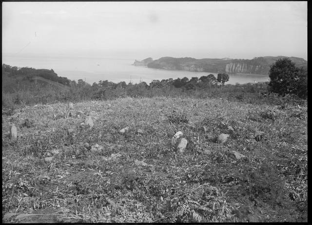 Nishizakiyama Stone Circle (Area 1), panoramic view (from the southwest)