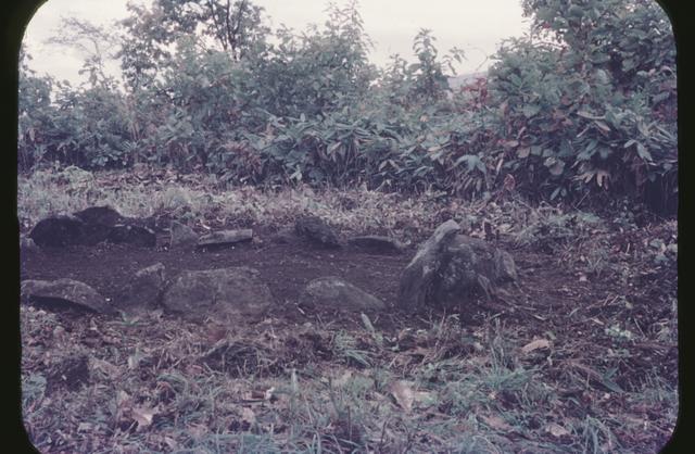 音江環状列石　第2号　調査後の復元（西から撮影）