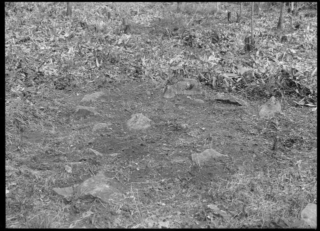 Otoe Stone Circle, stone circle No.4? (from the southeast?)