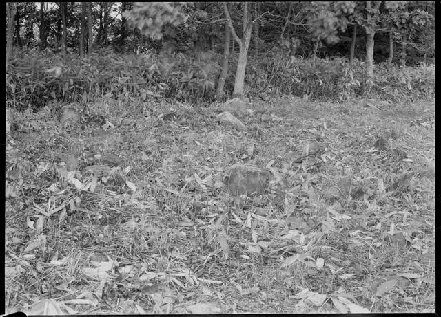 Otoe Stone Circle, stone circle No.7 (from the east)