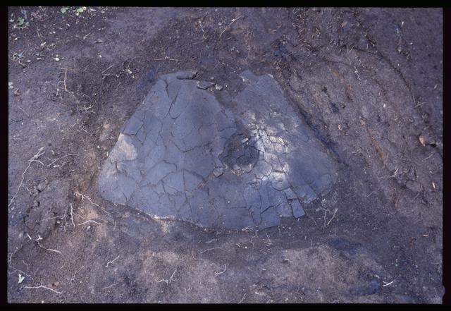 7a号竪穴　鯨骨製骨器出土状況